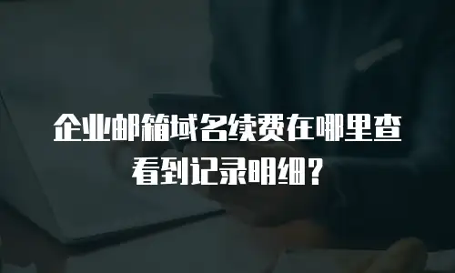 企业邮箱域名续费在哪里查看到记录明细？