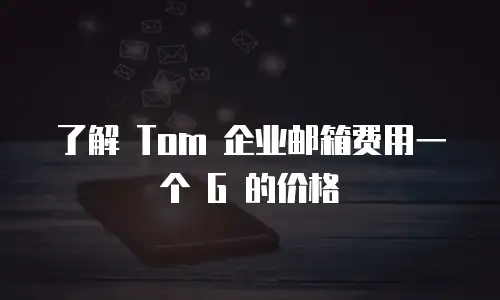 了解 Tom 企业邮箱费用一个 G 的价格