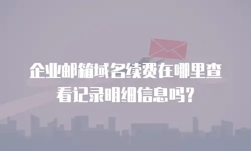 企业邮箱域名续费在哪里查看记录明细信息吗？