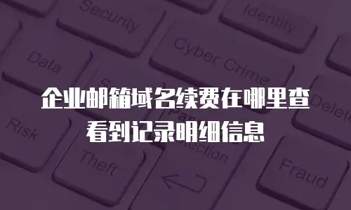 企业邮箱域名续费在哪里查看到记录明细信息