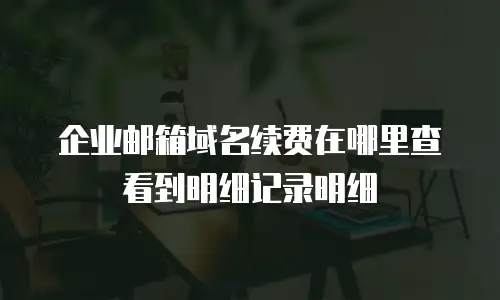 企业邮箱域名续费在哪里查看到明细记录明细