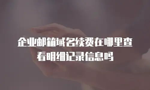 企业邮箱域名续费在哪里查看明细记录信息吗