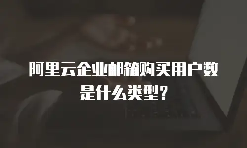 阿里云企业邮箱购买用户数是什么类型？