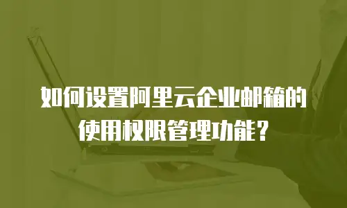 如何设置阿里云企业邮箱的使用权限管理功能?