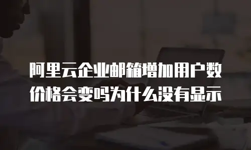 阿里云企业邮箱增加用户数价格会变吗为什么没有显示
