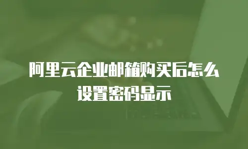阿里云企业邮箱购买后怎么设置密码显示