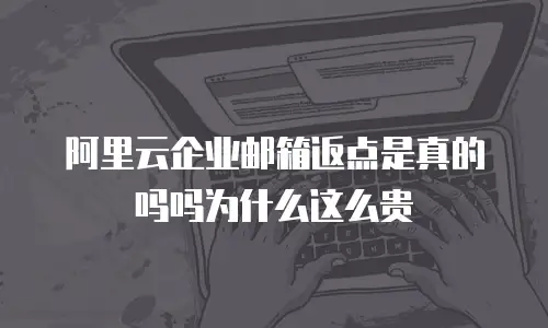 阿里云企业邮箱返点是真的吗吗为什么这么贵