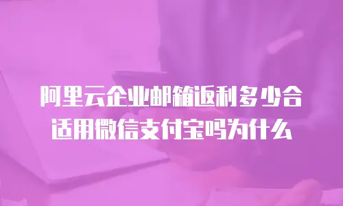 阿里云企业邮箱返利多少合适用微信支付宝吗为什么