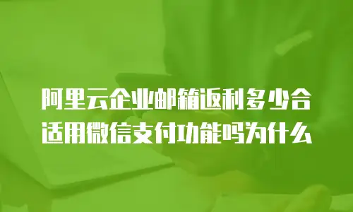 阿里云企业邮箱返利多少合适用微信支付功能吗为什么