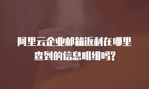 阿里云企业邮箱返利在哪里查到的信息明细吗?