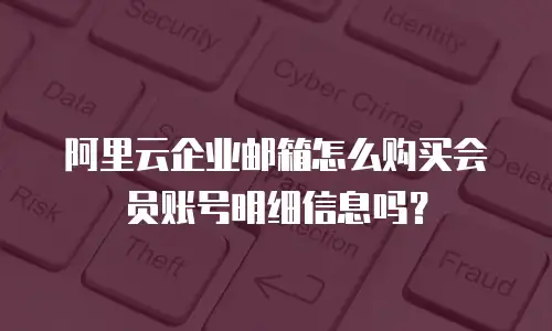 阿里云企业邮箱怎么购买会员账号明细信息吗?
