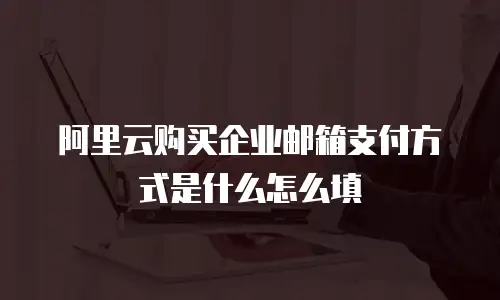 阿里云购买企业邮箱支付方式是什么怎么填