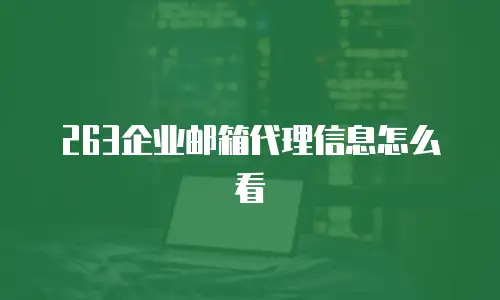 263企业邮箱代理信息怎么看