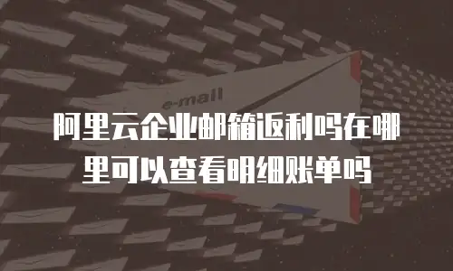 阿里云企业邮箱返利吗在哪里可以查看明细账单吗