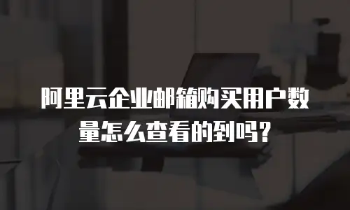 阿里云企业邮箱购买用户数量怎么查看的到吗?
