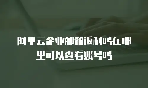 阿里云企业邮箱返利吗在哪里可以查看账号吗