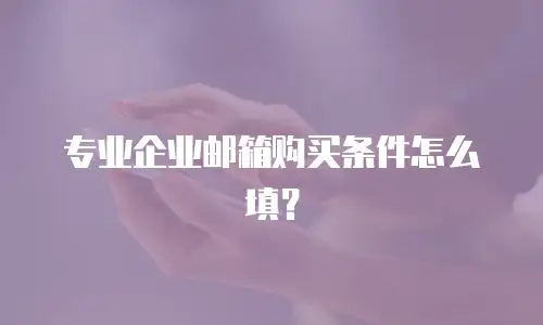 专业企业邮箱购买条件怎么填？