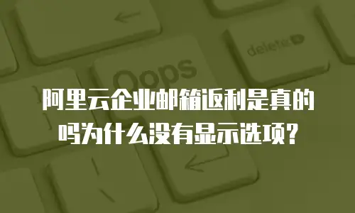 阿里云企业邮箱返利是真的吗为什么没有显示选项？