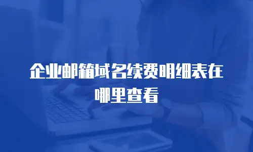 企业邮箱域名续费明细表在哪里查看