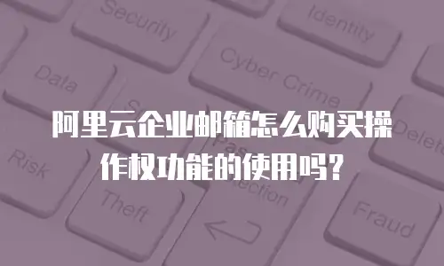 阿里云企业邮箱怎么购买操作权功能的使用吗？