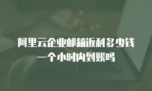 阿里云企业邮箱返利多少钱一个小时内到账吗