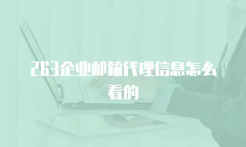 263企业邮箱代理信息怎么看的