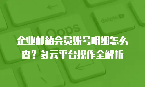 企业邮箱会员账号明细怎么查？多云平台操作全解析