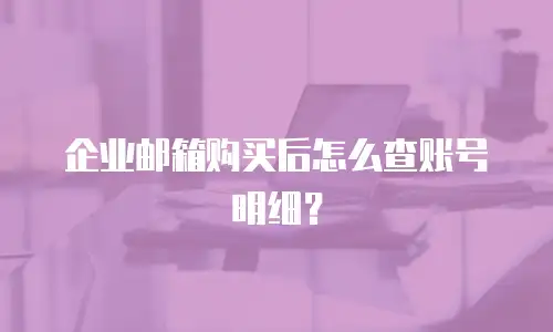 企业邮箱购买后怎么查账号明细？