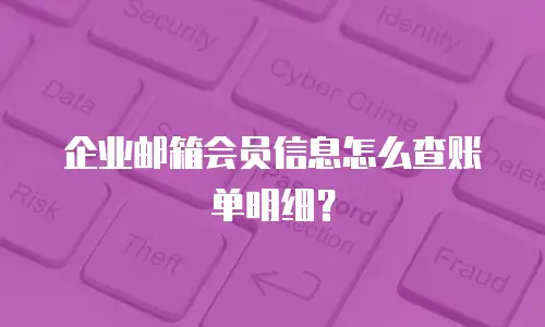 企业邮箱会员信息怎么查账单明细?