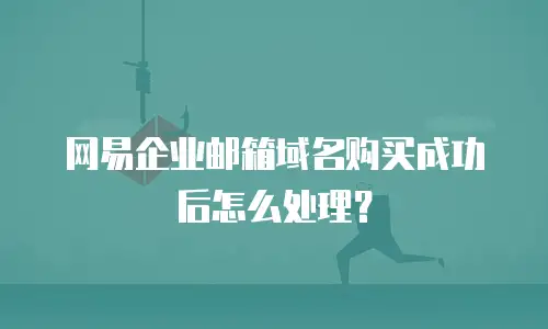 网易企业邮箱域名购买成功后怎么处理？